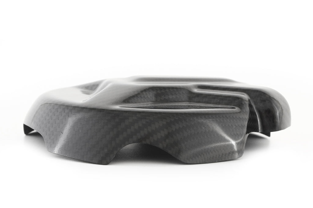 Fullsix Carbon Alternator Cover Protection Guard - BMW S1000R/S1000RR