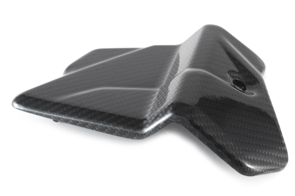 Fullsix Carbon Electronic Cover - BMW S1000R/M1000RR
