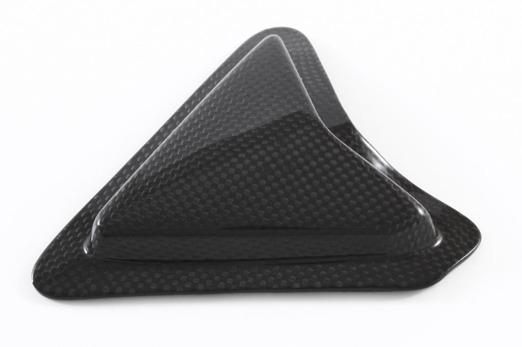 Fullsix Carbon Swingarm Guard - Slider - Ducati Panigale R/Panigale V2