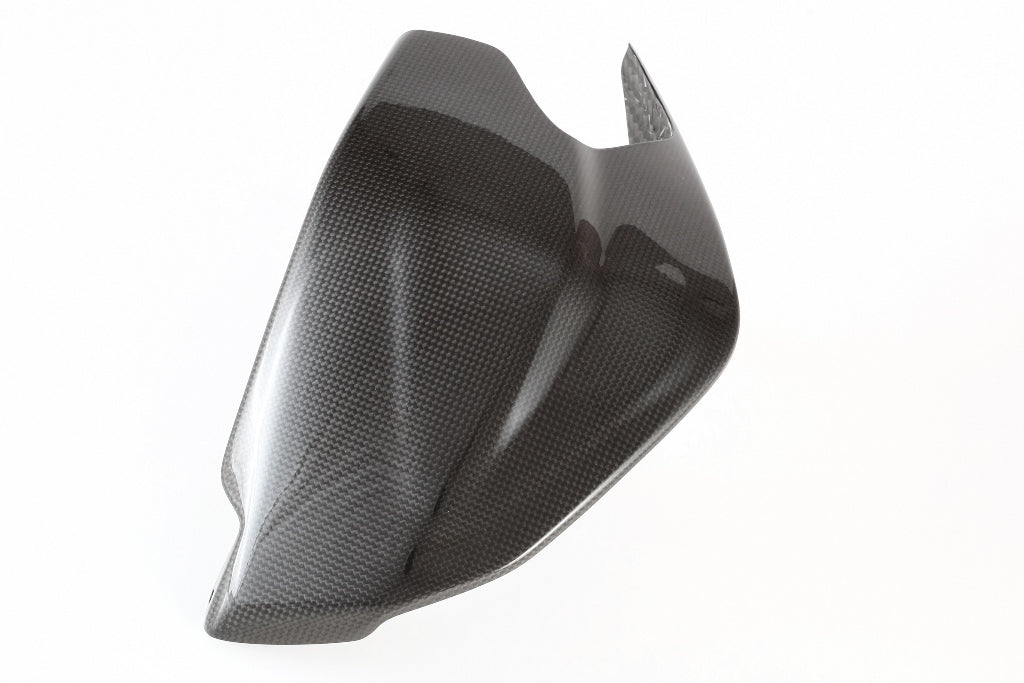 Fullsix Carbon Swingarm Guard - Guard - Ducati Panigale R/Panigale V2