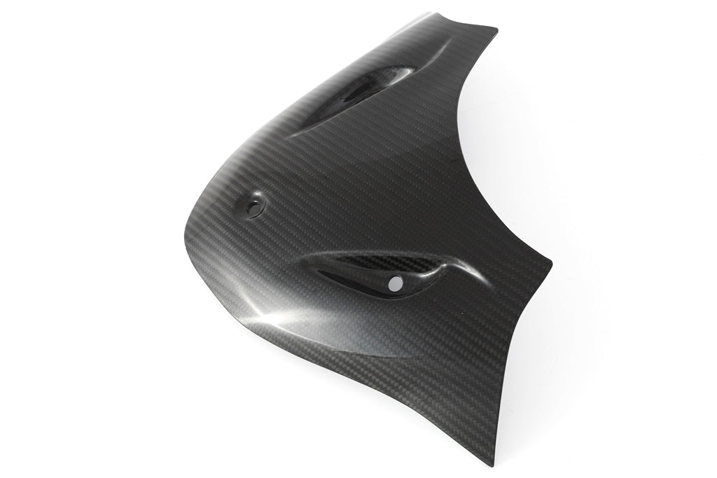 Fullsix Carbon Headlight Fairing - Extension Cover - BMW S1000R