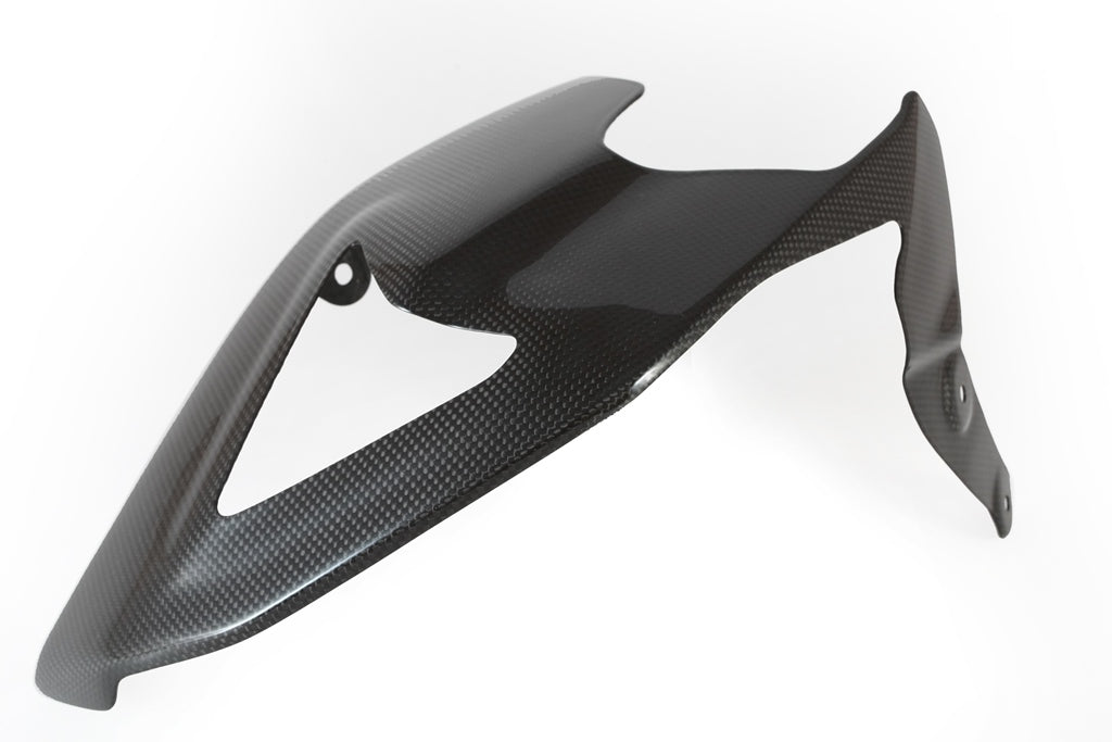 Fullsix Carbon Swingarm Guard - Guard - Ducati Panigale R/Panigale V2