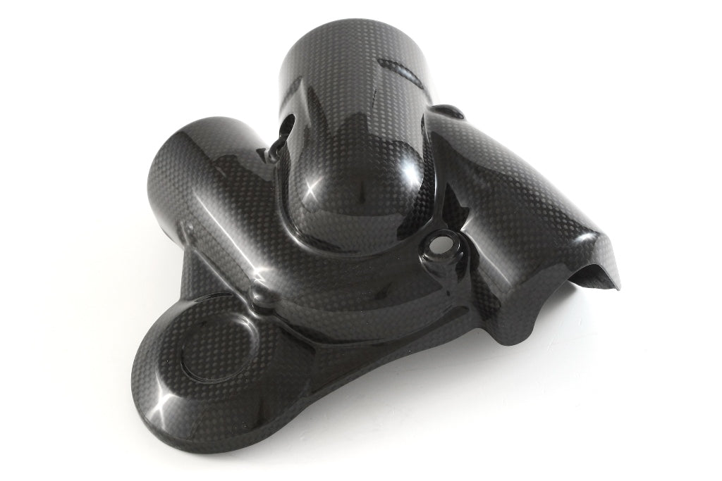 Fullsix Carbon Water Pump Protection - Ducati Multistrada 950/Multistrada 1200