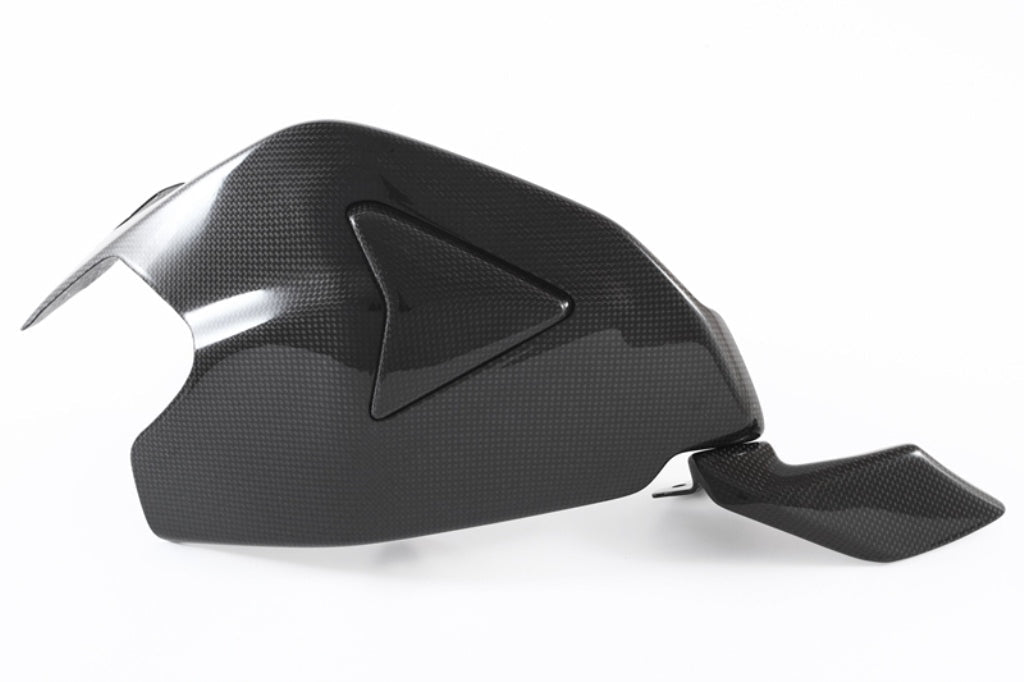 Fullsix Carbon Swingarm Guard with Slider and Shark Fin - Ducati Panigale R/Panigale V2