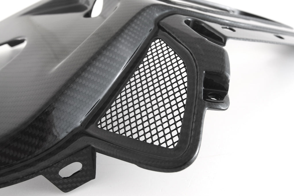 Fullsix Carbon Seat / Tail - Center - BMW S1000R/M1000RR