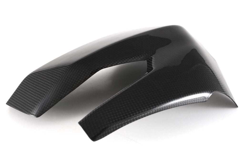 Fullsix Carbon Swingarm Guard - Ducati Super Sport