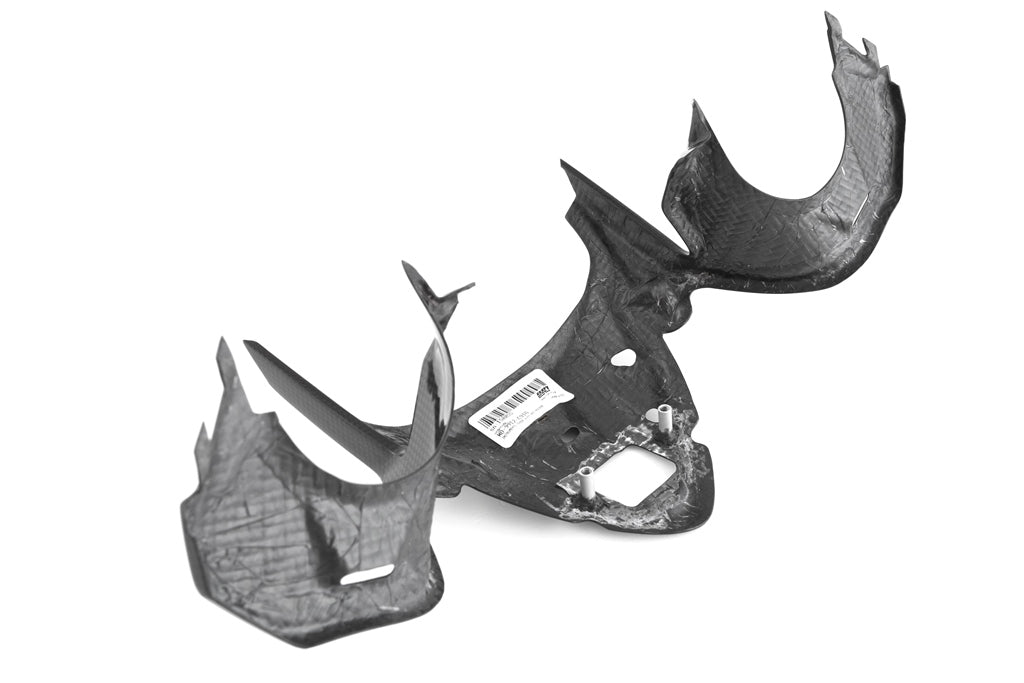 Fullsix Carbon Instruments Cover with GPS Holder - Ducati Panigale R/Panigale V2