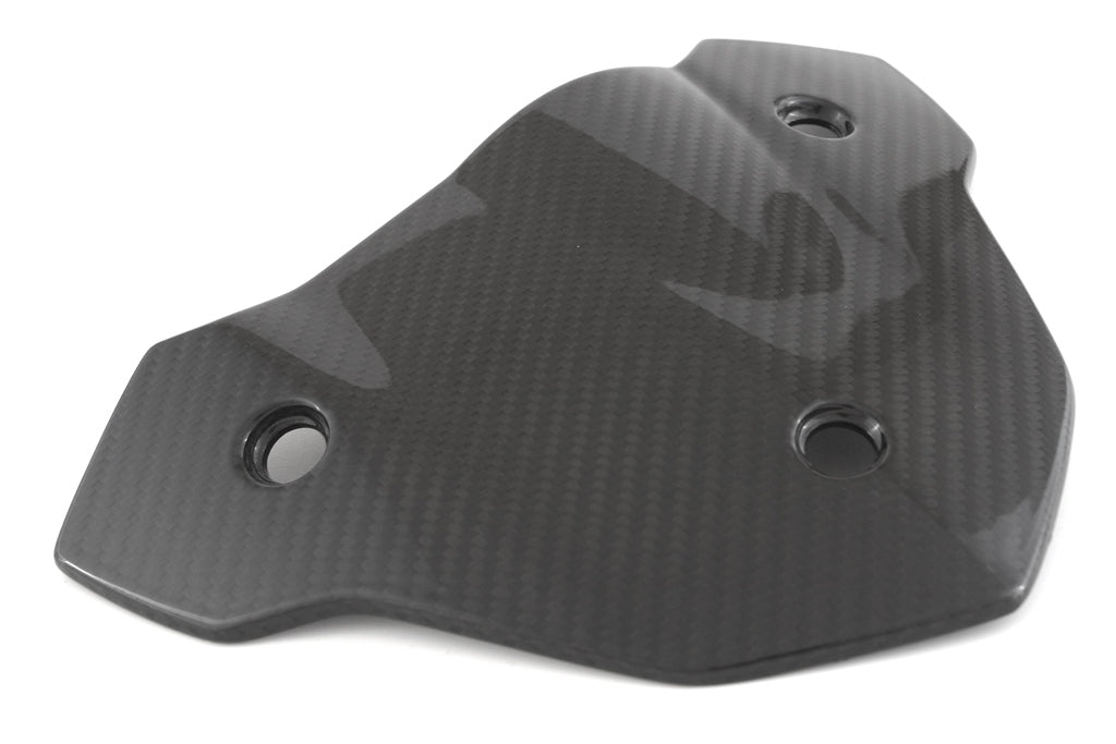 Fullsix Carbon Headlight Fairing - Cover - BMW S1000R