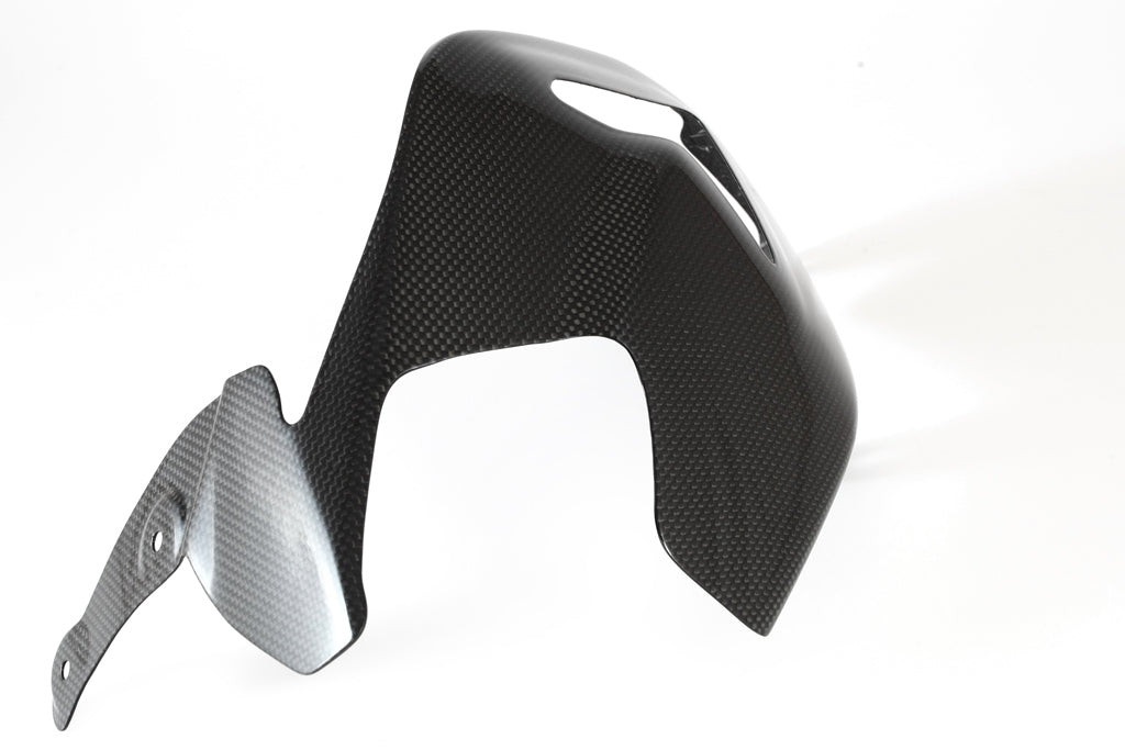 Fullsix Carbon Swingarm Guard - Guard - Ducati Panigale R/Panigale V2