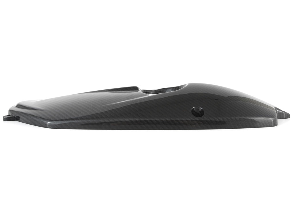 Fullsix Carbon Engine Cover - BMW R Nine T