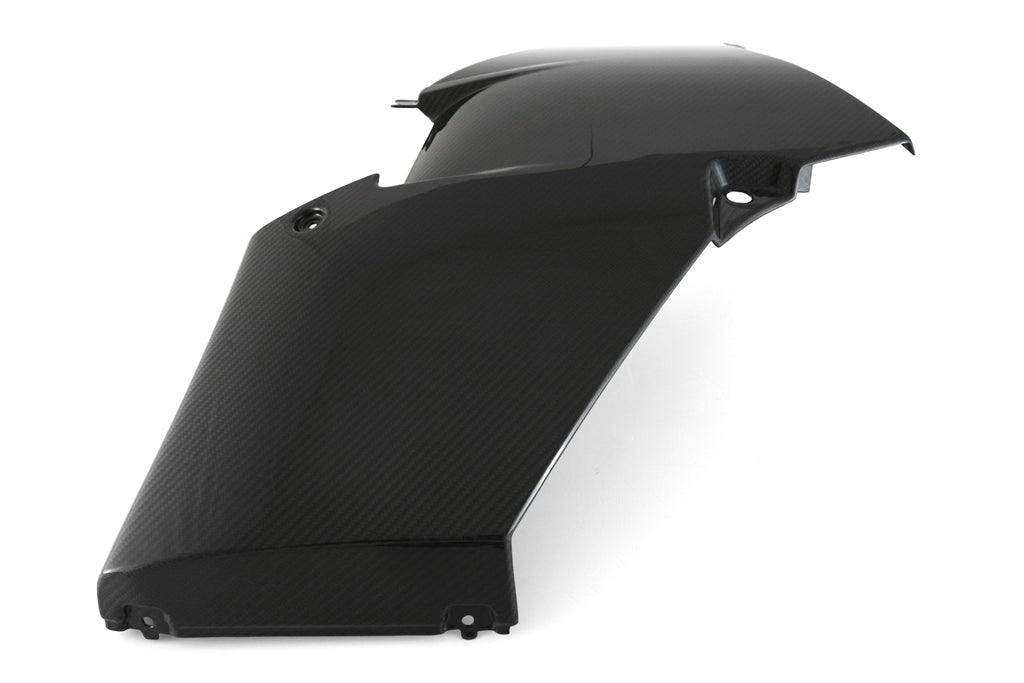 Fullsix Carbon Fairing Side Panel - Lower Left - BMW M1000RR
